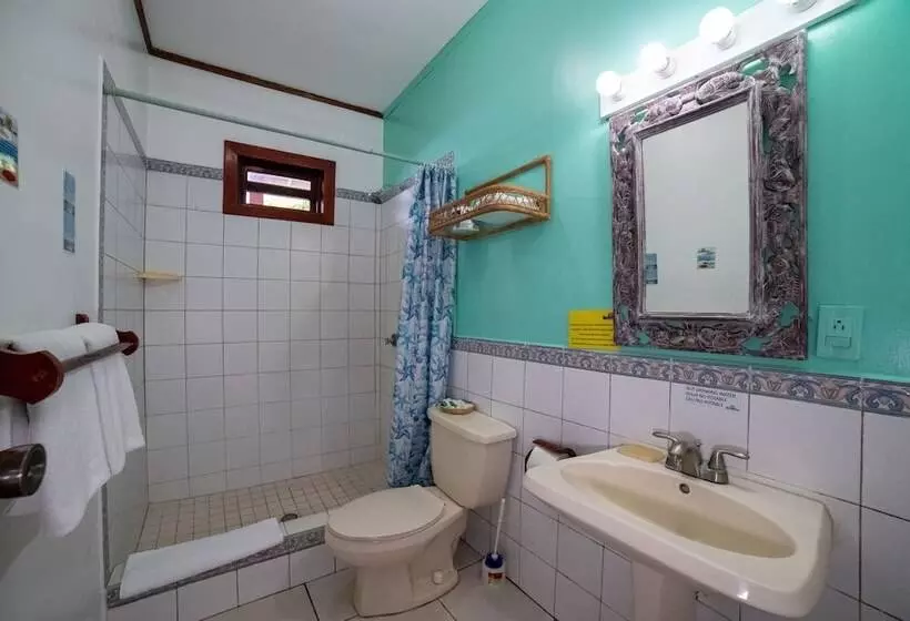 اتاق استاندارد سه نفره, Splash Inn Dive Resort & Villas