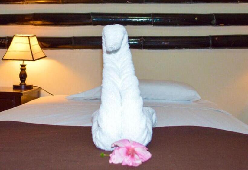 اتاق استاندارد یک نفره, Chanchamayo Inn