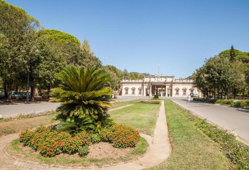 غرفة قياسية فردية, Raphael