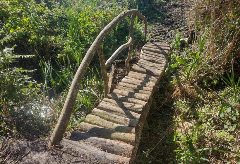 جناح مطلّ علي البحر, Herdade Amália Rodrigues