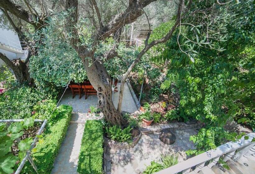 اتاق استاندارد, Rooms Garden