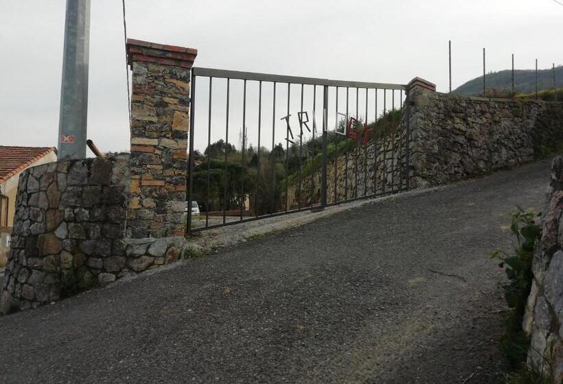 اتاق استاندارد, Trilogy