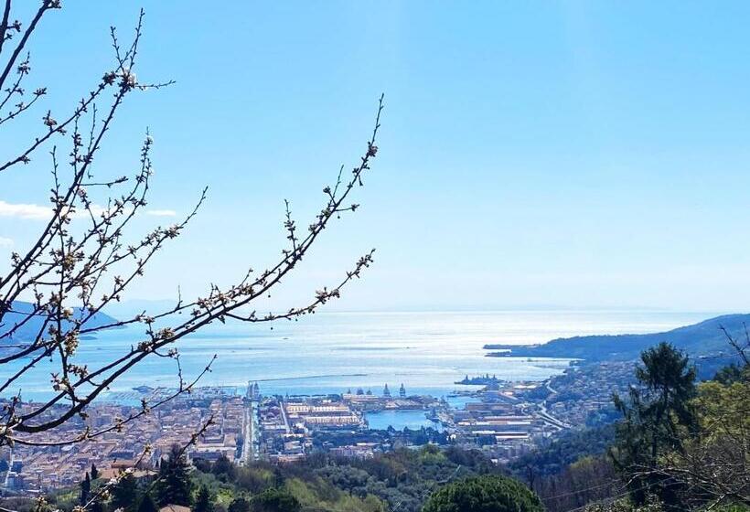 سوییت خانوادگی, Trilogy