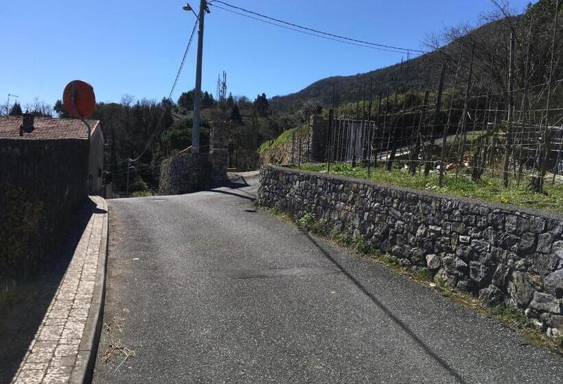 سوییت خانوادگی, Trilogy