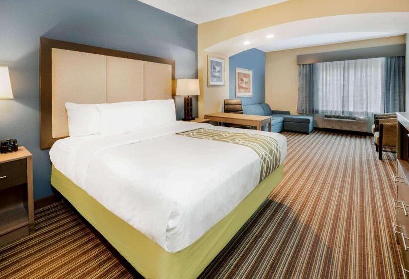 스탠다드 룸 킹사이즈 침대, La Quinta Inn & Suites By Wyndham Broussard   Lafayette Area