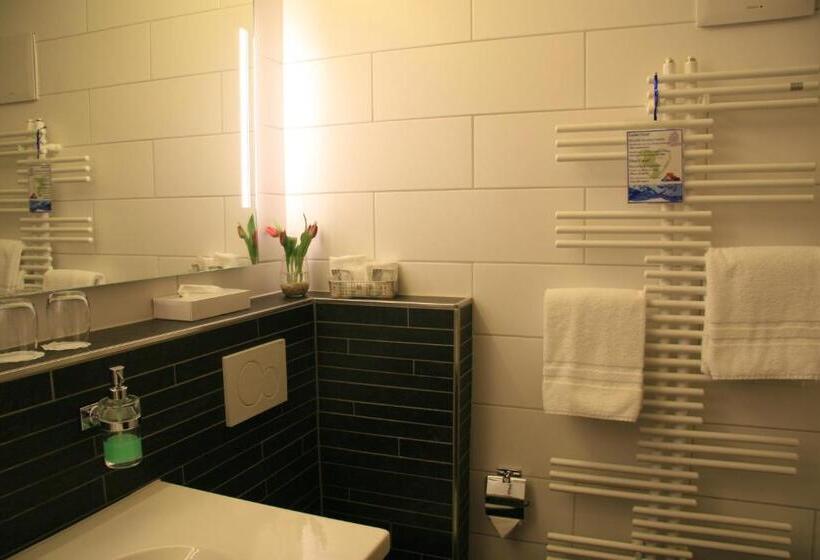 エコノミーシングルルーム, Eremitage