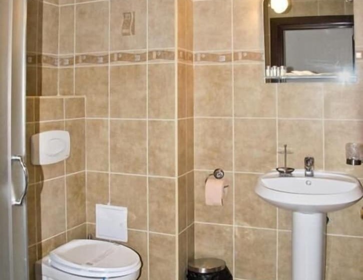 스탠다드 룸, Hanul Domnesc