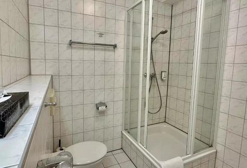 Standard Yhden Hengen Huone, Ilsenburger Hof
