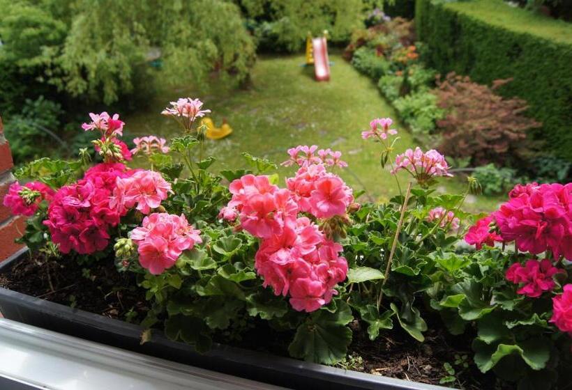 스탠다드 싱글 룸, Logis Beau Séjour