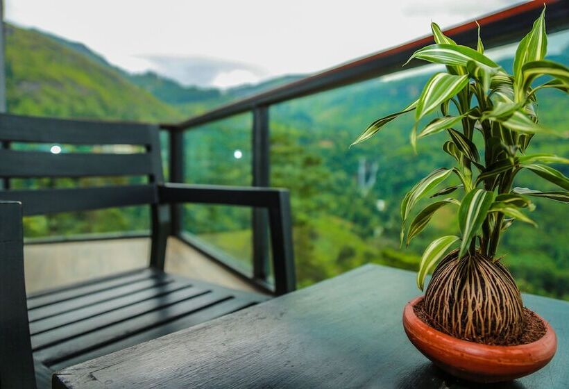 豪华房间, Oak Ray Tea Bush