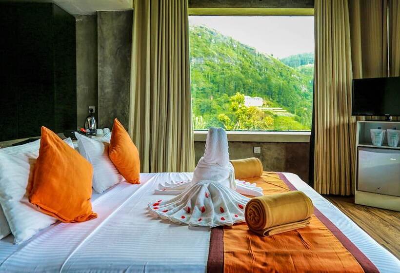 豪华房间, Oak Ray Tea Bush