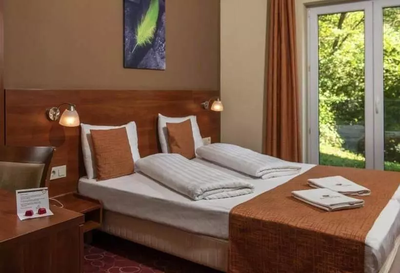 スタンダードルーム, Patak Park Hotel Visegrád