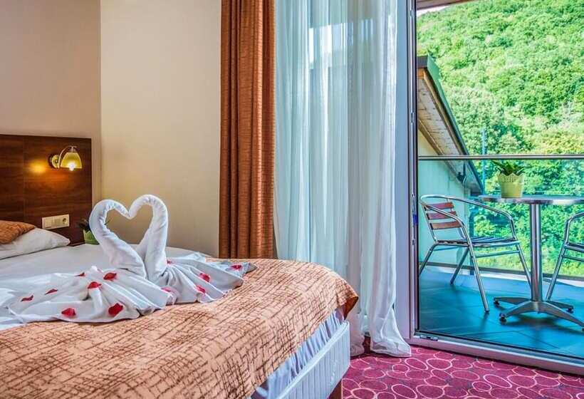 اتاق سوپریور, Patak Park Hotel Visegrád