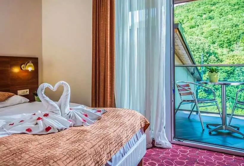 スーペリアールーム, Patak Park Hotel Visegrád