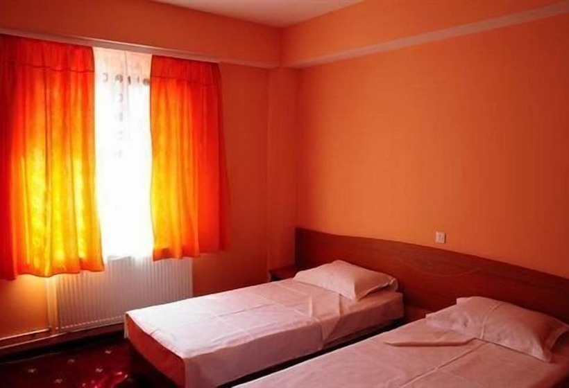 اتاق استاندارد, Premiere