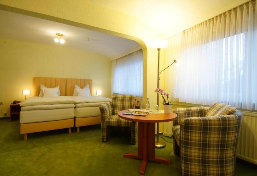 行政房间, Riemann