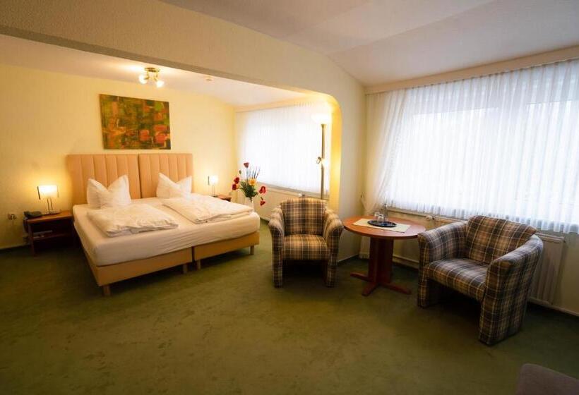 行政房间, Riemann