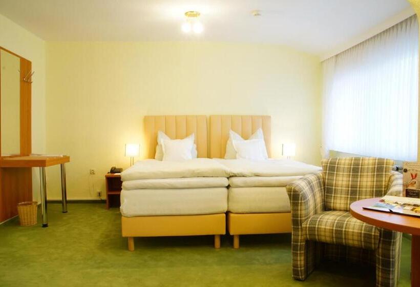 行政房间, Riemann