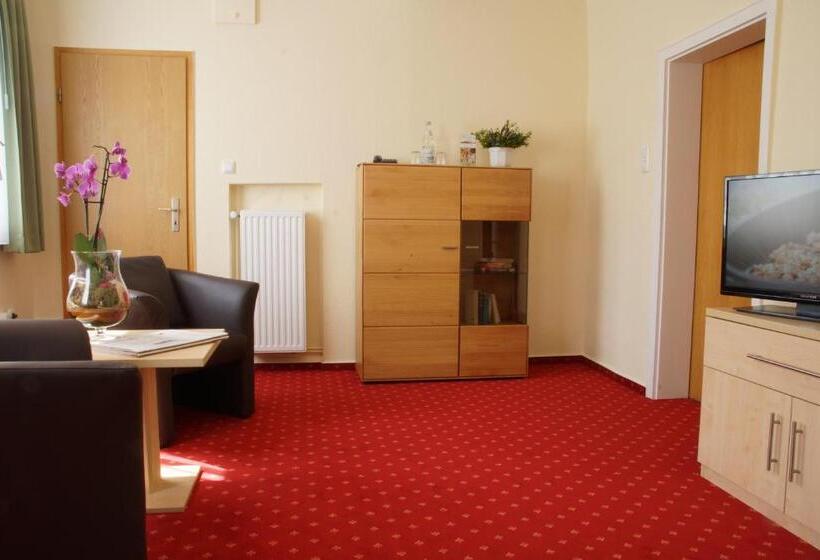 舒适型房间, Riemann