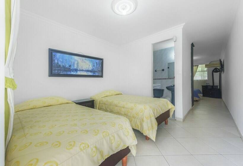 스탠다드 트리플 룸, Santa Barbara