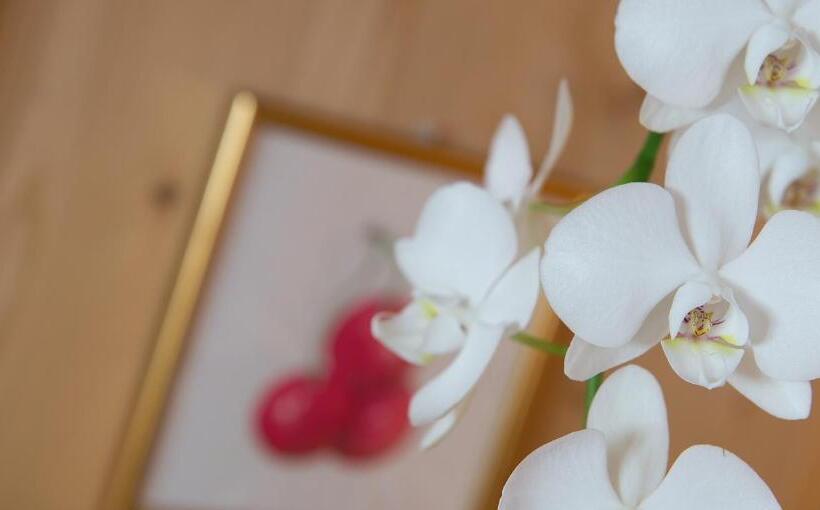 اتاق استاندارد, St. Michael