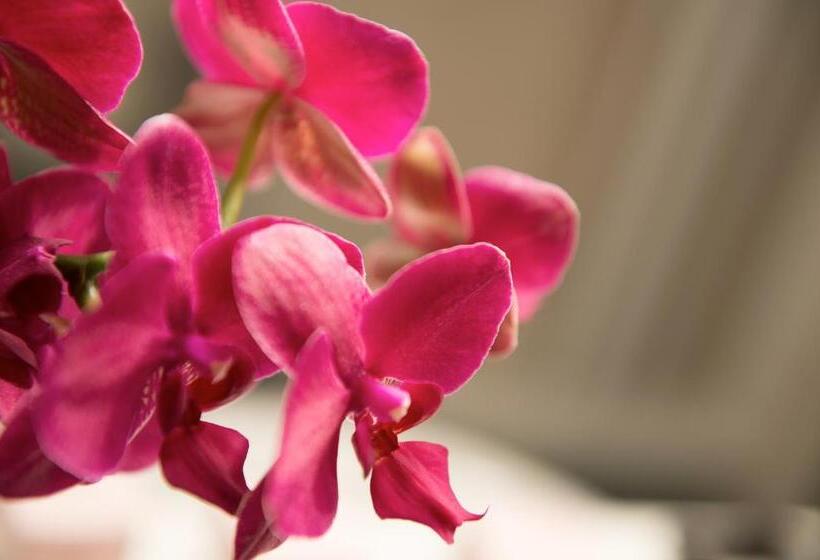 اتاق سوپریور با بالکن, St. Michael