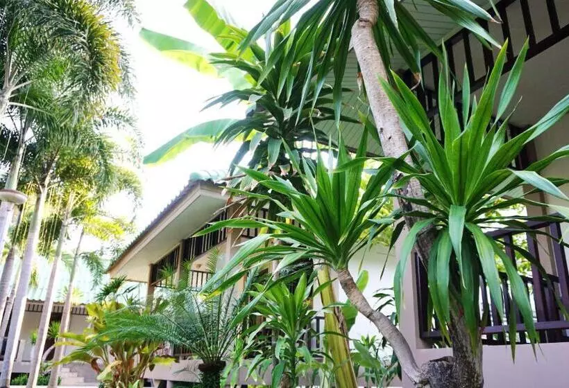 بانگلوی استاندارد, Lamai Inn 99 Bungalows
