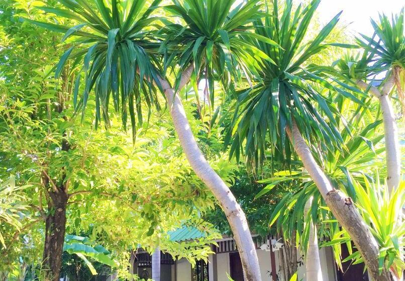 Quarto Estandar, Lamai Inn 99 Bungalows