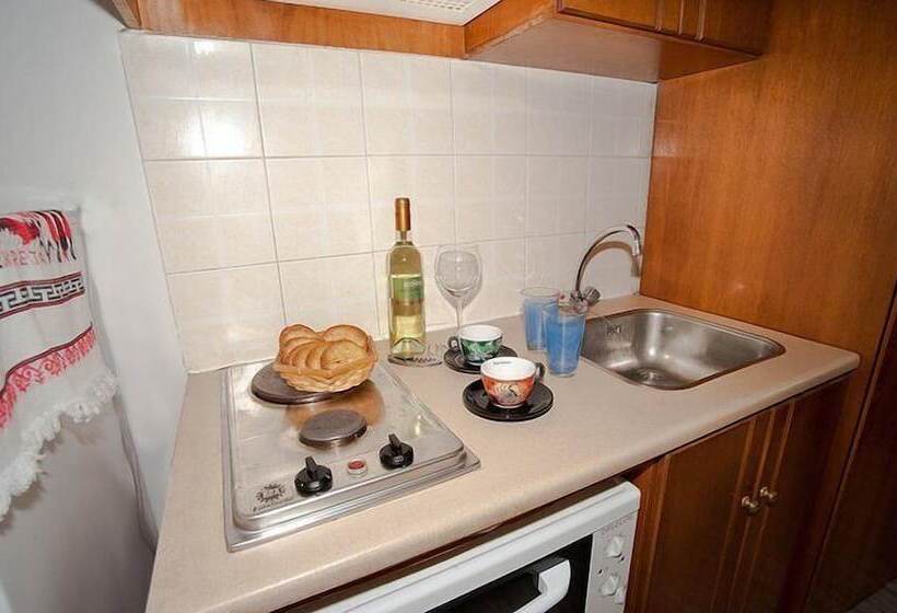 サイドオーシャンビューのスタンダードワンルーム, Marathakis Apartments