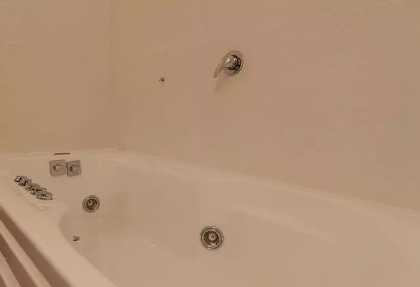 ２ベッドルームアパートメント, Agriturismo Oasi Torre Del Colle