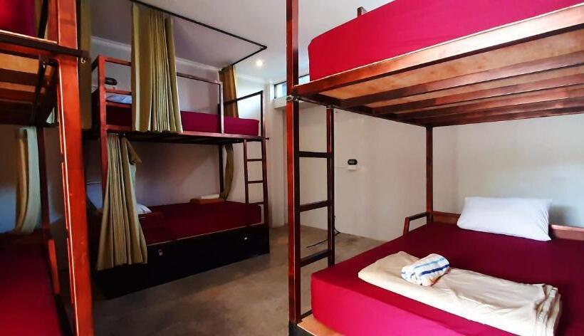 共用房间的床, Urban Jungle House Bali