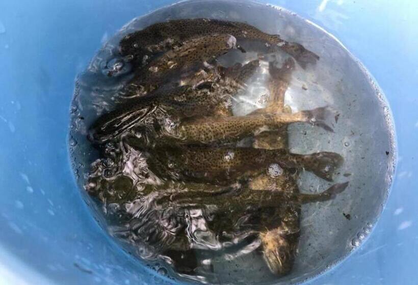 استودیوی استاندارد, Oyado Fubuki   Vacation Stay 45512v