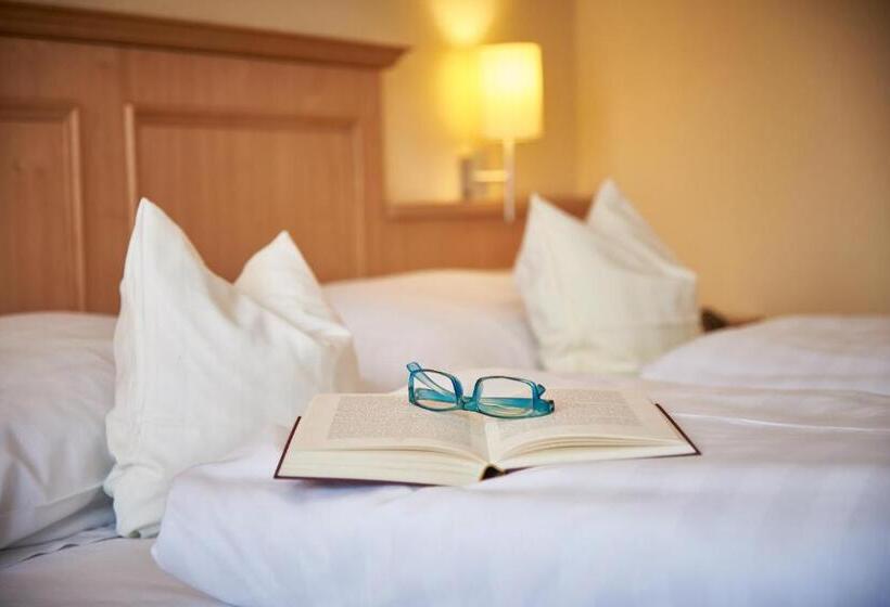Номер Стандарт, Apparthotel Minerva Diana Octavia