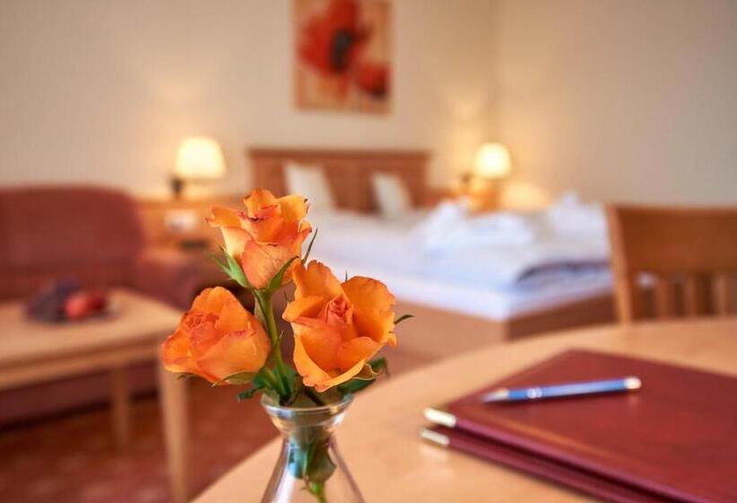 Номер Комфорт, Apparthotel Minerva Diana Octavia