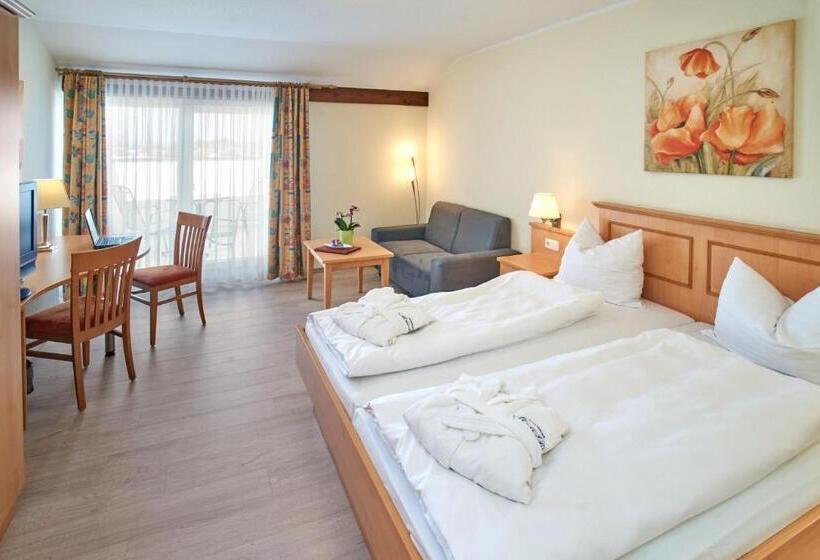 舒适型房间, Apparthotel Minerva Diana Octavia