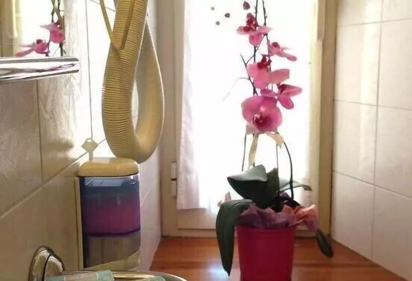 Quarto standard, 2000