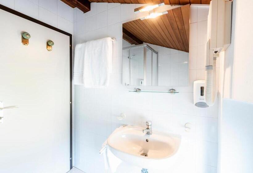 غرفة قياسية, Albergo Ristorante Svizzero