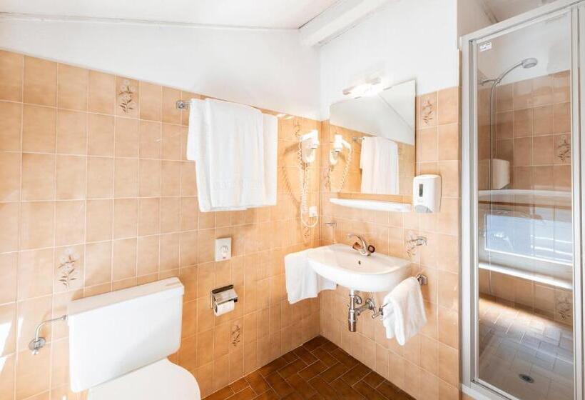 غرفة قياسية, Albergo Ristorante Svizzero