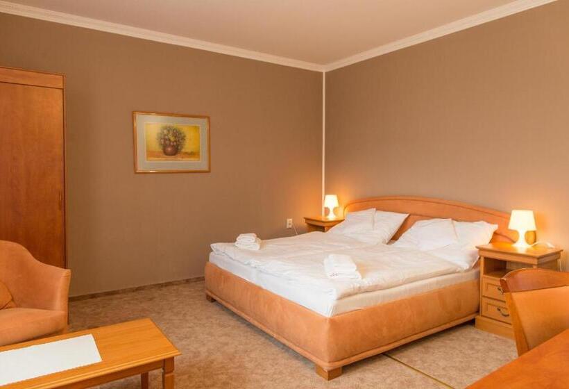 غرفة قياسية, Grand