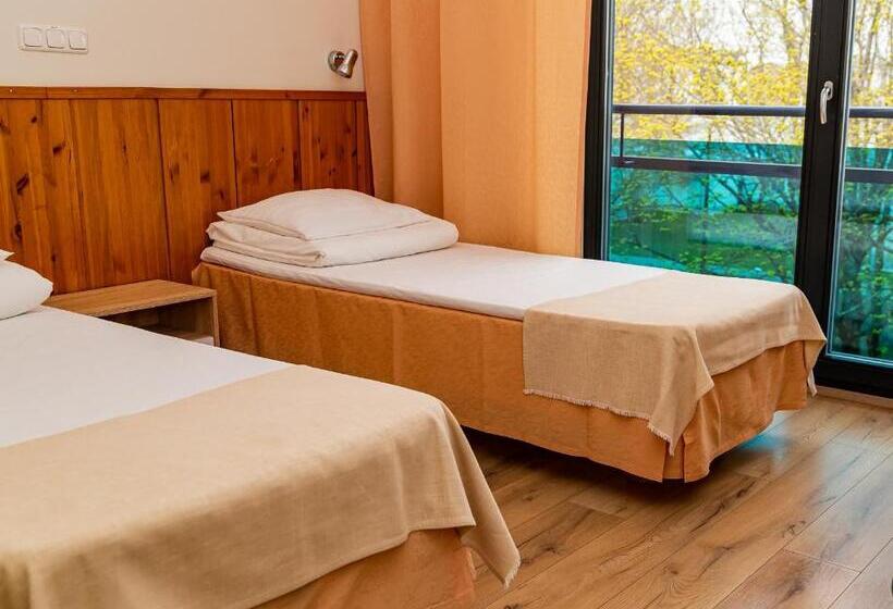 اتاق استاندارد, L Tammsaare