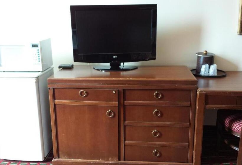 带2个双人床的标准工作室, Midtown