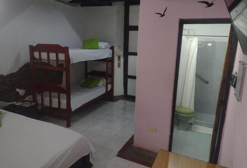 اتاق استاندارد چهار تخته, Nueva Granada