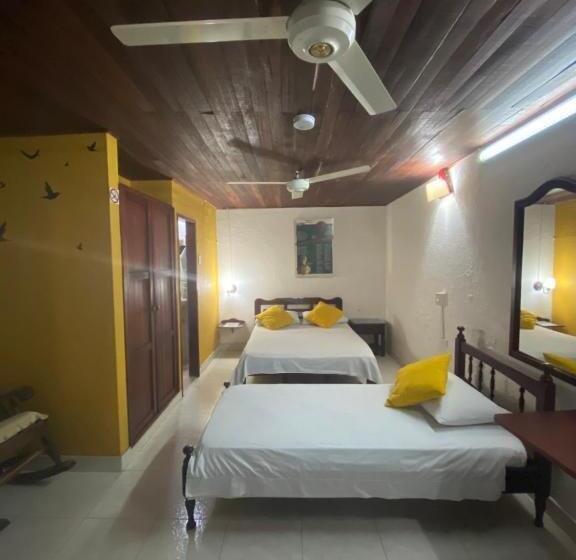 اتاق خانوادگی, Nueva Granada