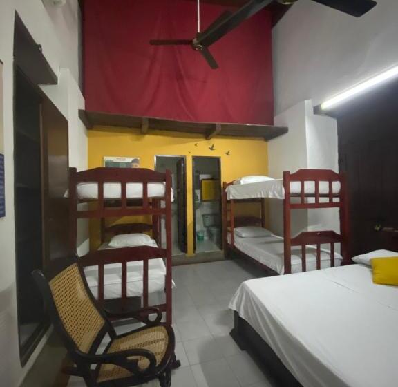 اتاق خانوادگی, Nueva Granada