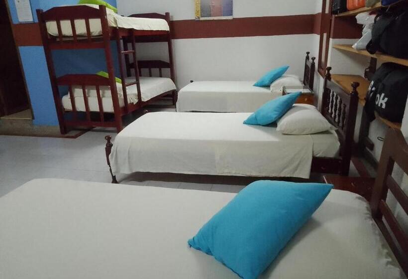 اتاق خانوادگی, Nueva Granada