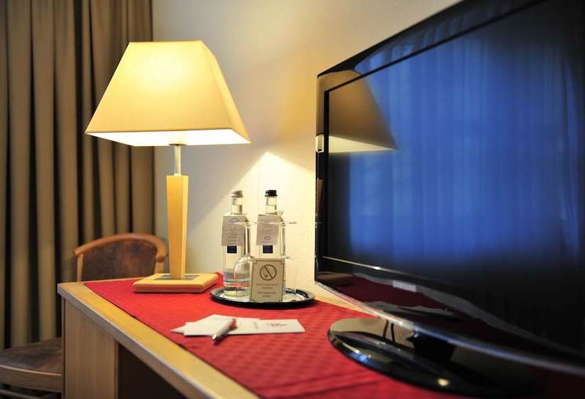 스탠다드 싱글 룸, Park Hotel Sellin