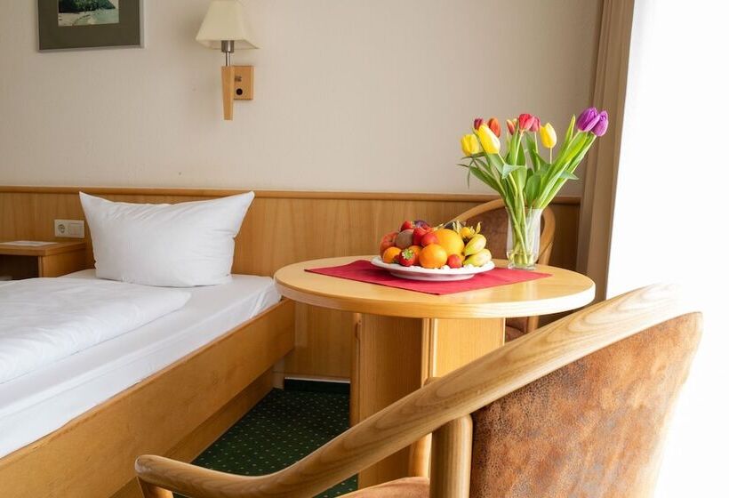 Номер Стандарт Индивидуальный, Park Hotel Sellin