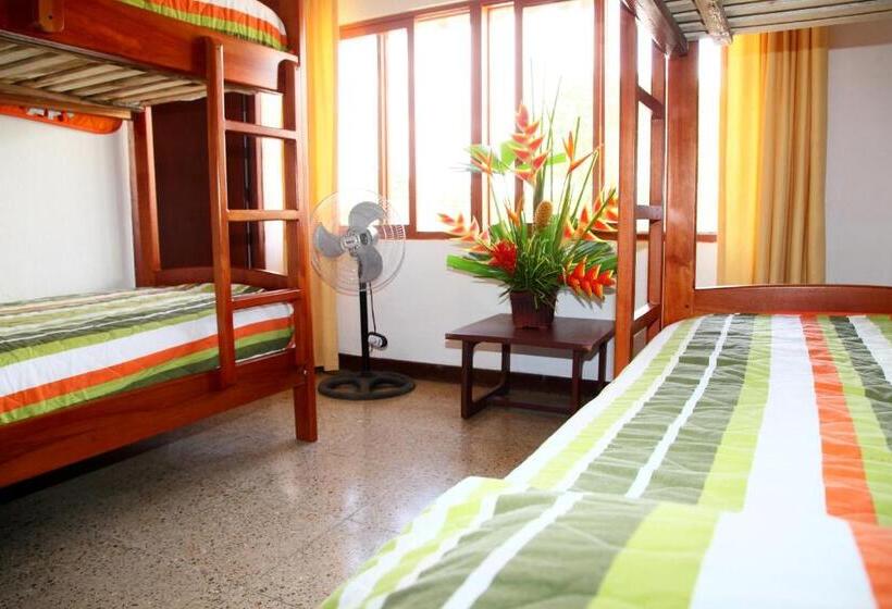 اتاق خانوادگی, Puerto Ballesta