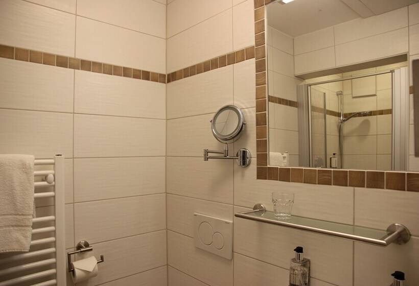 Номер Стандарт Индивидуальный, Wellnesshotel Waldruh