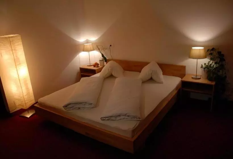 バルコニー付きスタンダードルーム, Landhotel Anna